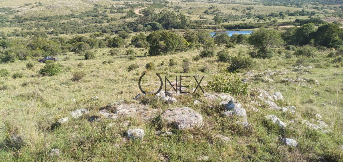 Chacra ID.2597 - Venta de Chacra de 10 Ha en Aigua