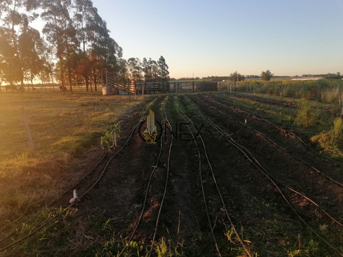 Chacra ID.3130 - Oportunidad venta de Chacra con casa tajamar árboles  galpón en Canelones 
