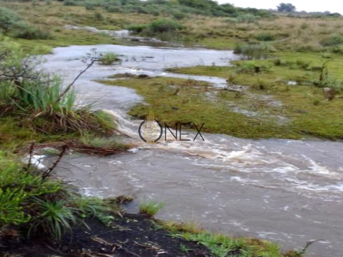 Chacra ID.434 - SE VENDE CAMPO GANADERO TURISTICO EN TREINTA Y TRES (URUGUAY)