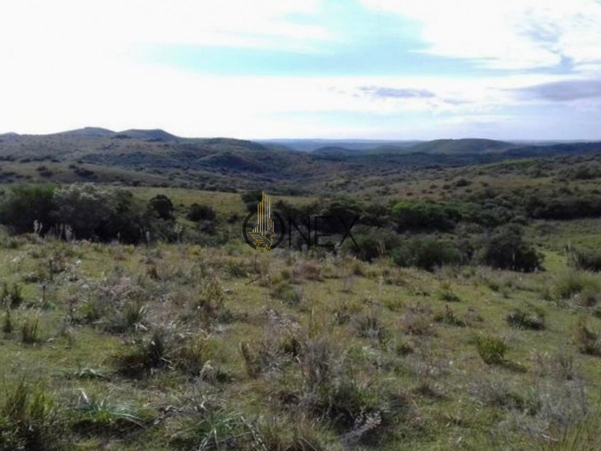 Chacra ID.434 - SE VENDE CAMPO GANADERO TURISTICO EN TREINTA Y TRES (URUGUAY)