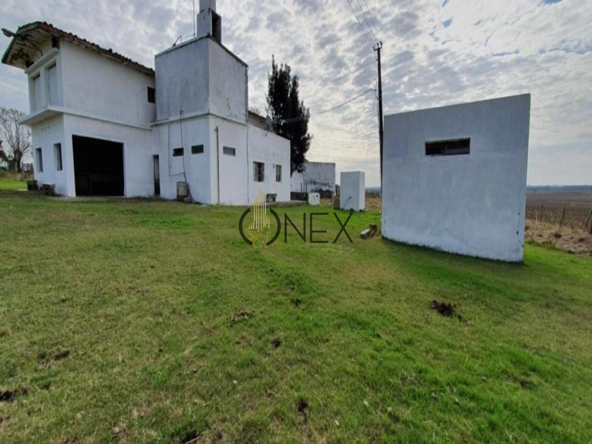 Chacra ID.445 - SE VENDE CAMPO AGRICOLA GANADERO EN SAN RAMÓN CANELONES 
