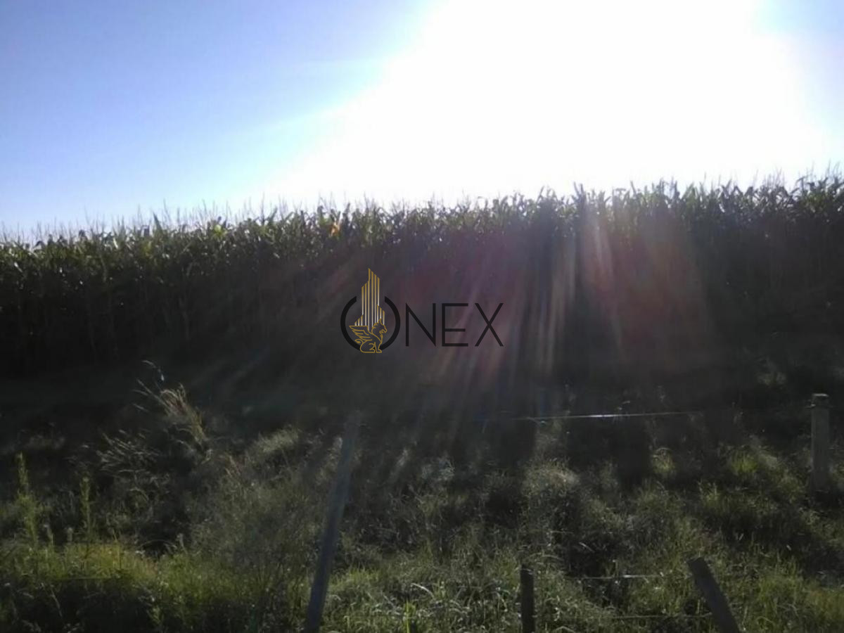Chacra ID.445 - SE VENDE CAMPO AGRICOLA GANADERO EN SAN RAMÓN CANELONES 