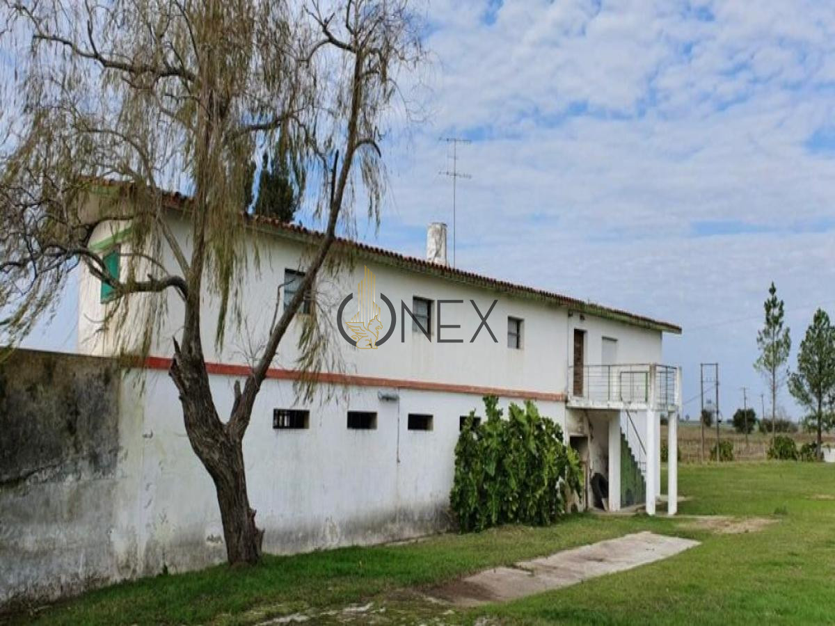 Chacra ID.445 - SE VENDE CAMPO AGRICOLA GANADERO EN SAN RAMÓN CANELONES 