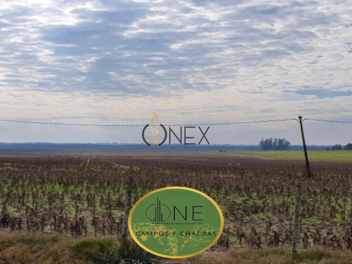 Chacra ID.445 - SE VENDE CAMPO AGRICOLA GANADERO EN SAN RAMÓN CANELONES 