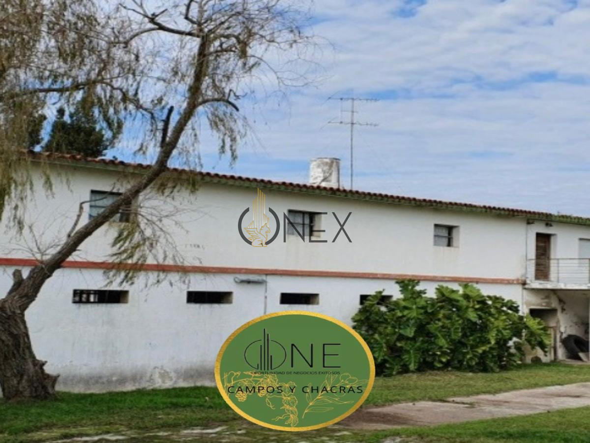 Chacra ID.445 - SE VENDE CAMPO AGRICOLA GANADERO EN SAN RAMÓN CANELONES 