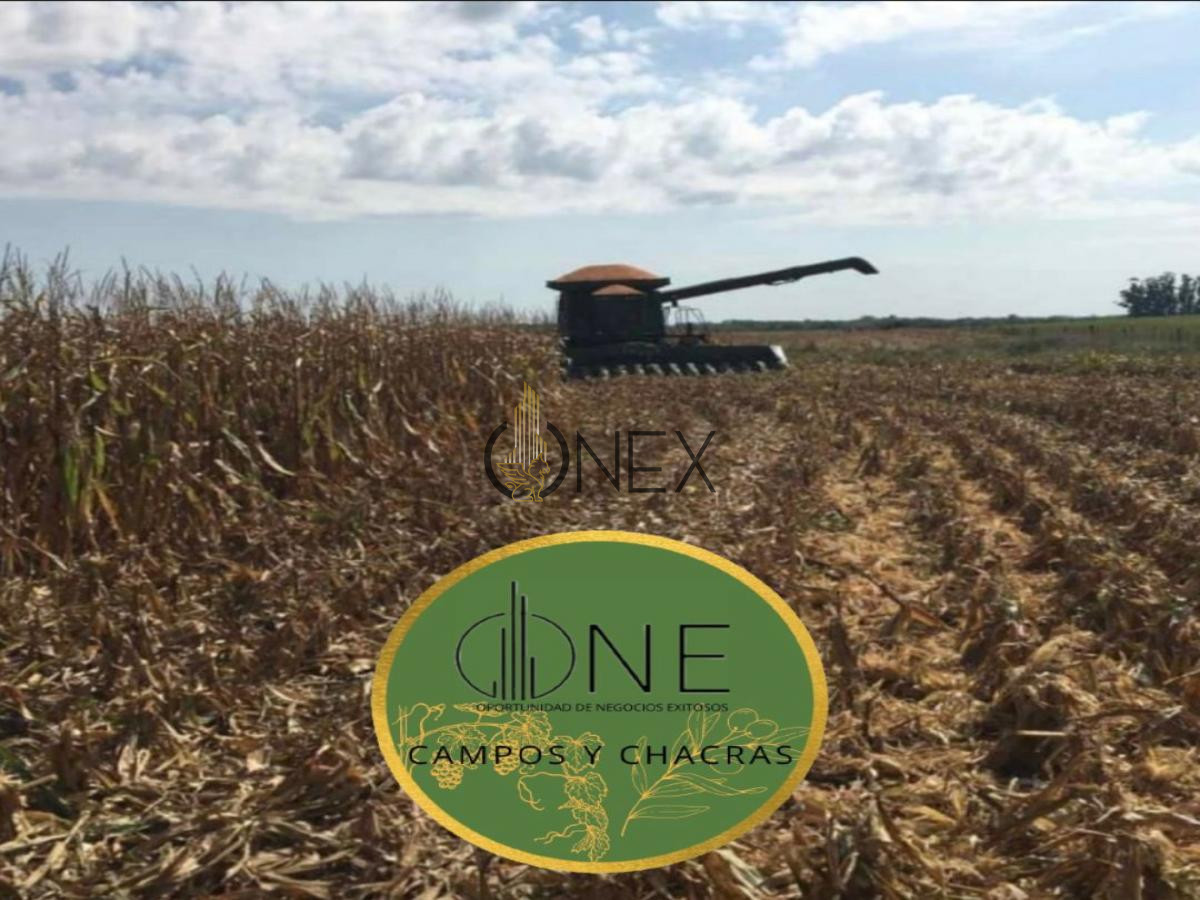 Chacra ID.445 - SE VENDE CAMPO AGRICOLA GANADERO EN SAN RAMÓN CANELONES 