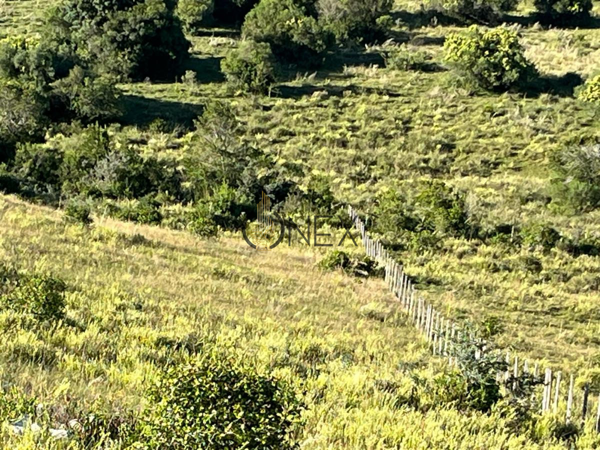 Chacra ID.925 - Venta de hermosas  chacras en Maldonado a de 5 HECT cada una hermosas vistas !!!