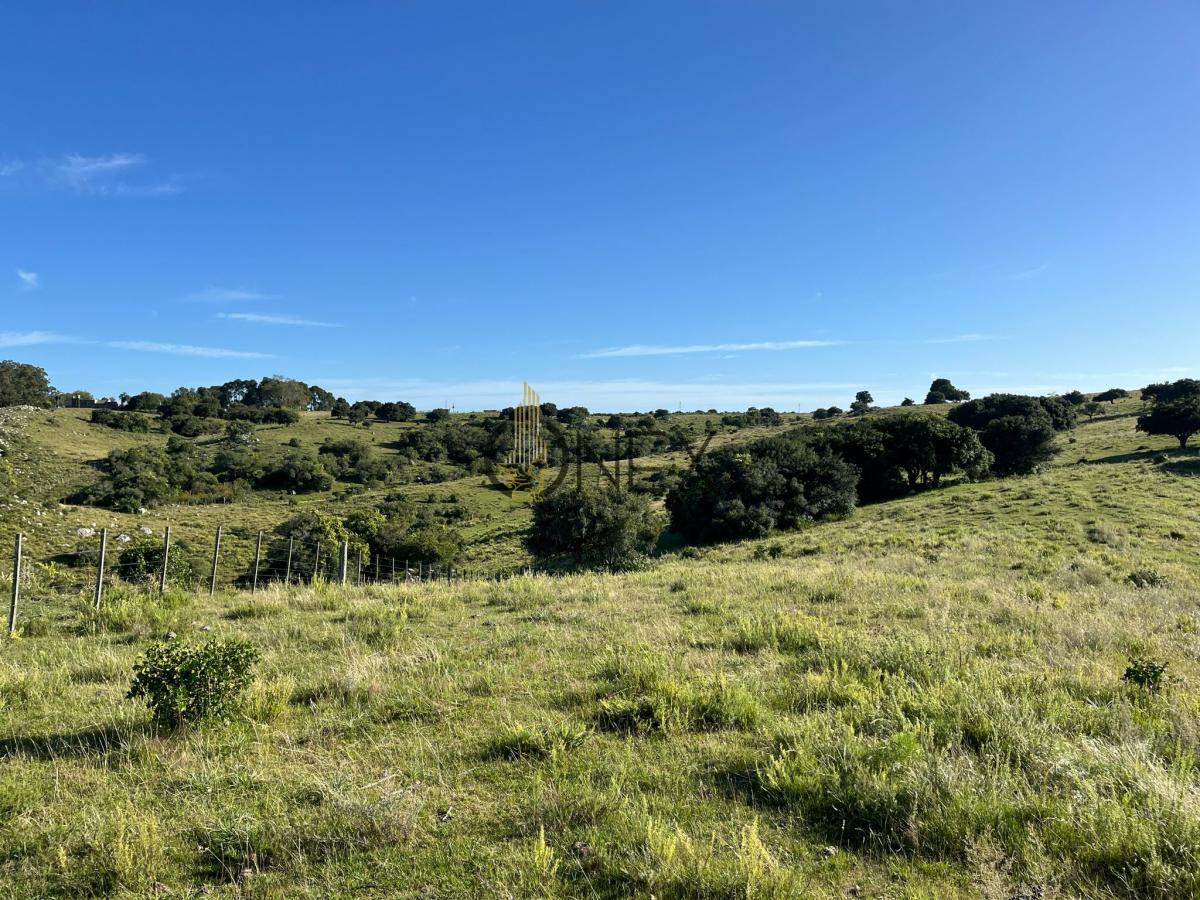 Chacra ID.925 - Venta de hermosas  chacras en Maldonado a de 5 HECT cada una hermosas vistas !!!