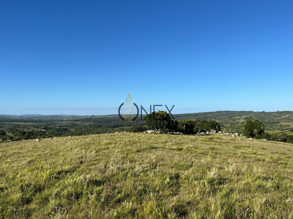 Chacra ID.925 - Venta de hermosas  chacras en Maldonado a de 5 HECT cada una hermosas vistas !!!