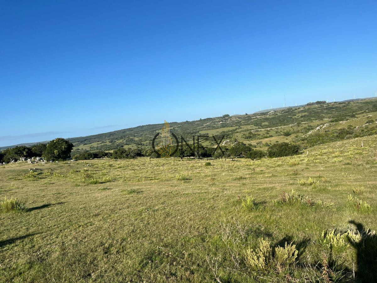 Chacra ID.925 - Venta de hermosas  chacras en Maldonado a de 5 HECT cada una hermosas vistas !!!