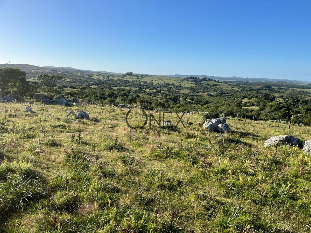 Chacra ID.925 - Venta de hermosas  chacras en Maldonado a de 5 HECT cada una hermosas vistas !!!