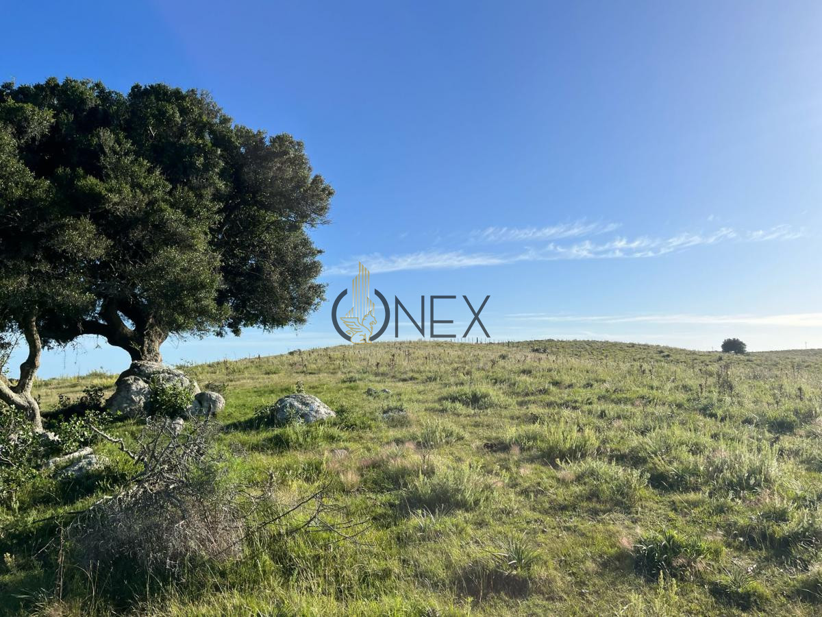 Chacra ID.925 - Venta de hermosas  chacras en Maldonado a de 5 HECT cada una hermosas vistas !!!