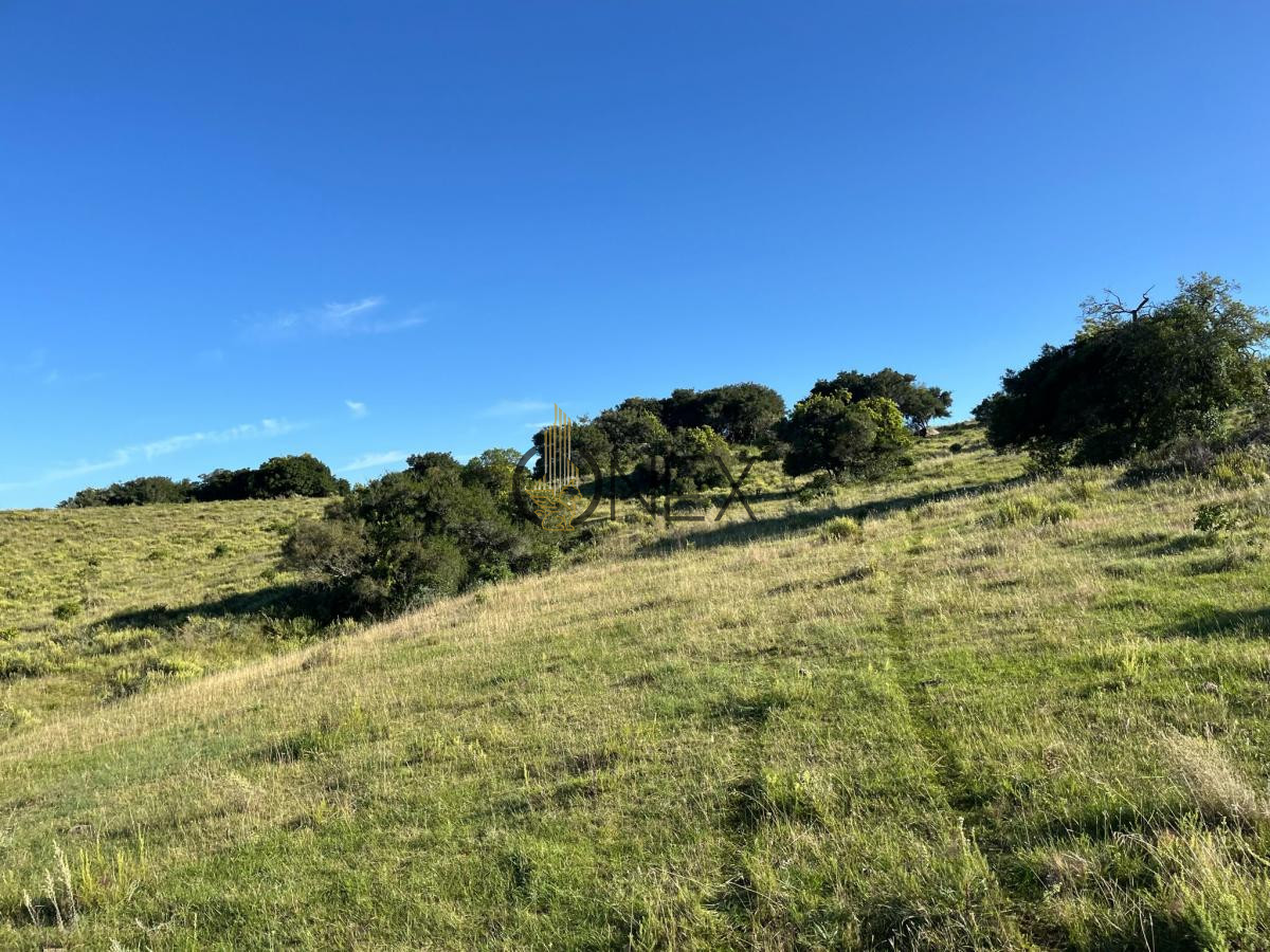 Chacra ID.925 - Venta de hermosas  chacras en Maldonado a de 5 HECT cada una hermosas vistas !!!