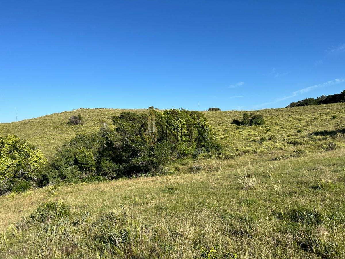 Chacra ID.925 - Venta de hermosas  chacras en Maldonado a de 5 HECT cada una hermosas vistas !!!