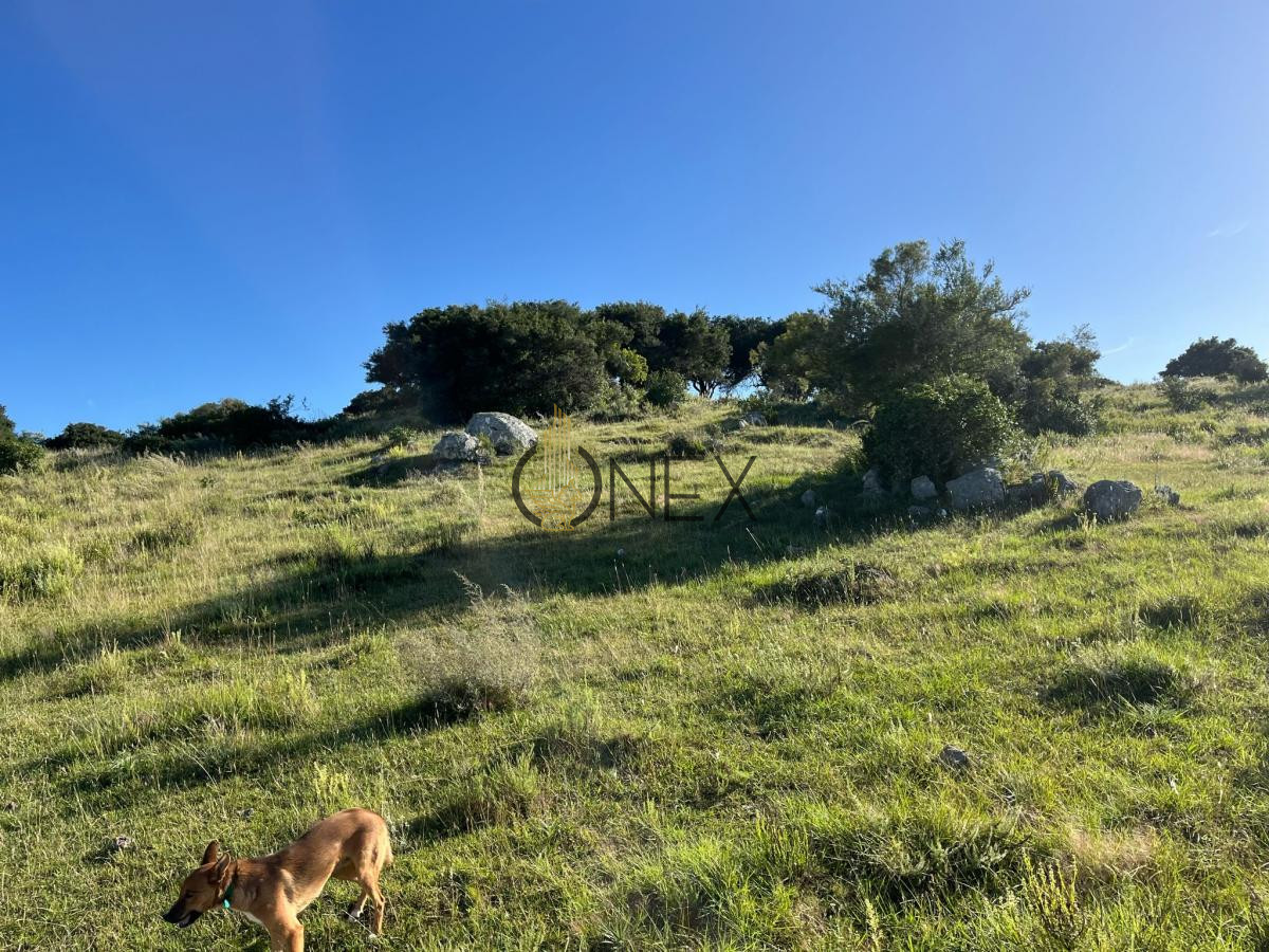 Chacra ID.925 - Venta de hermosas  chacras en Maldonado a de 5 HECT cada una hermosas vistas !!!
