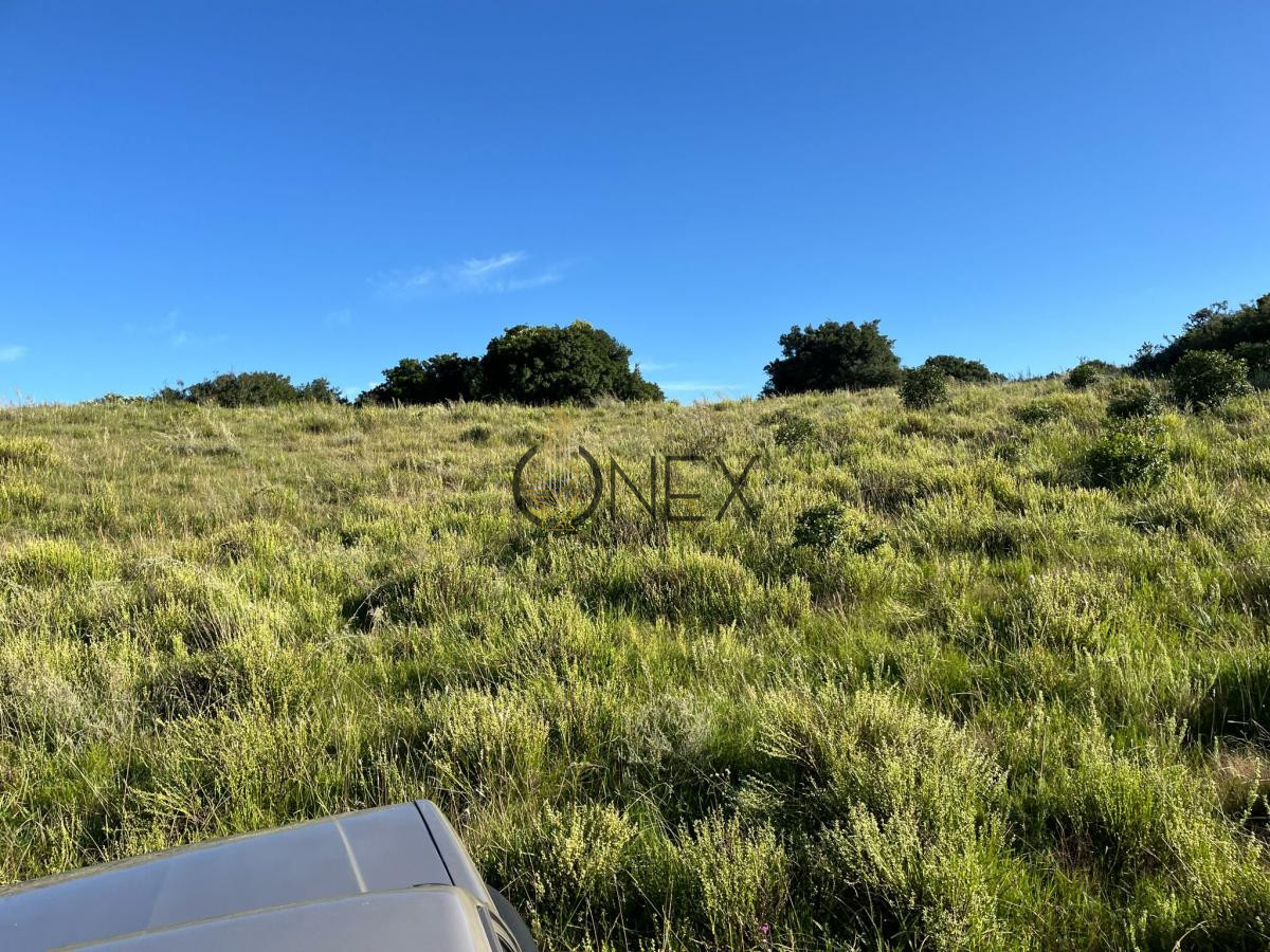 Chacra ID.925 - Venta de hermosas  chacras en Maldonado a de 5 HECT cada una hermosas vistas !!!