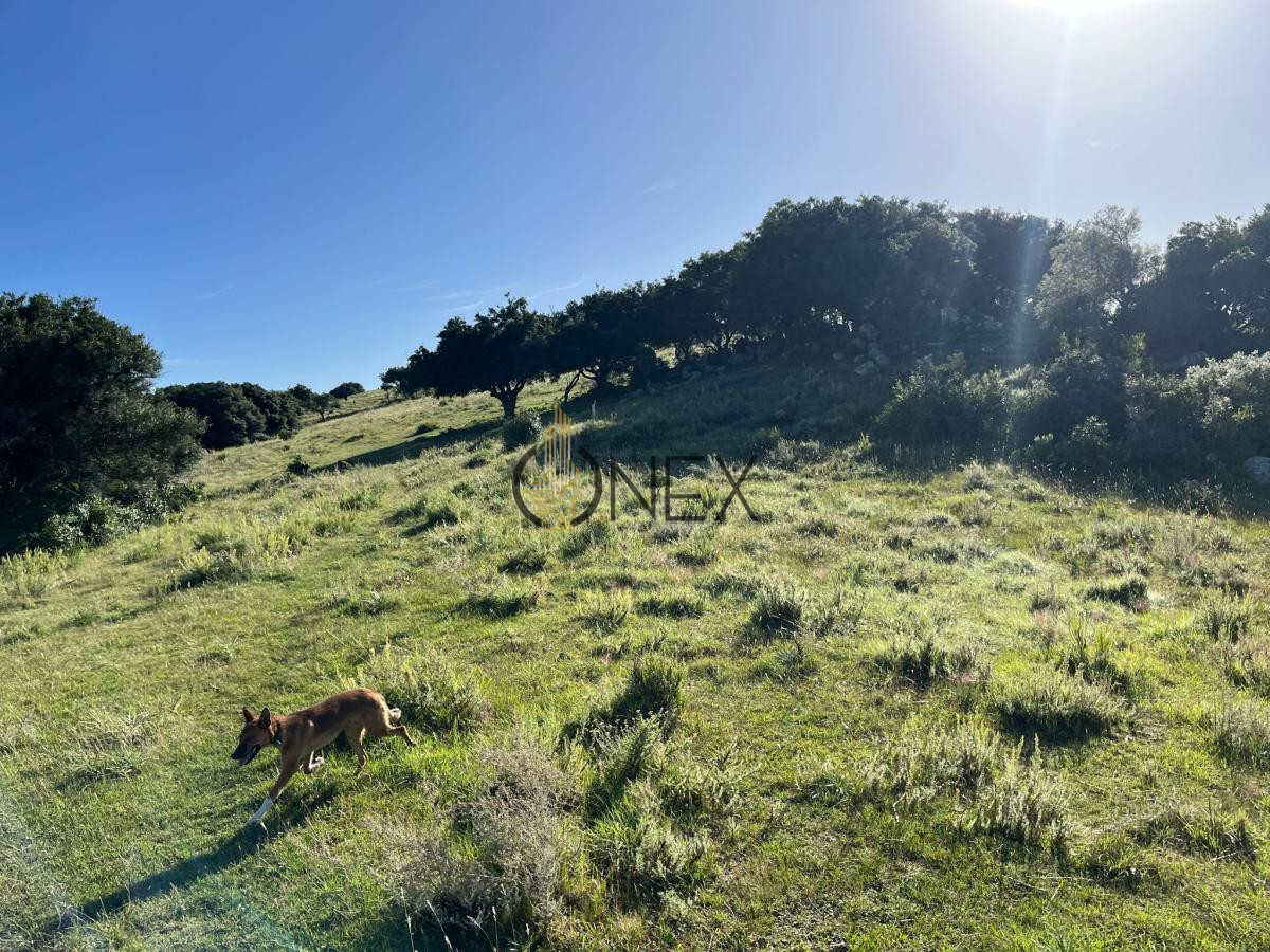 Chacra ID.925 - Venta de hermosas  chacras en Maldonado a de 5 HECT cada una hermosas vistas !!!
