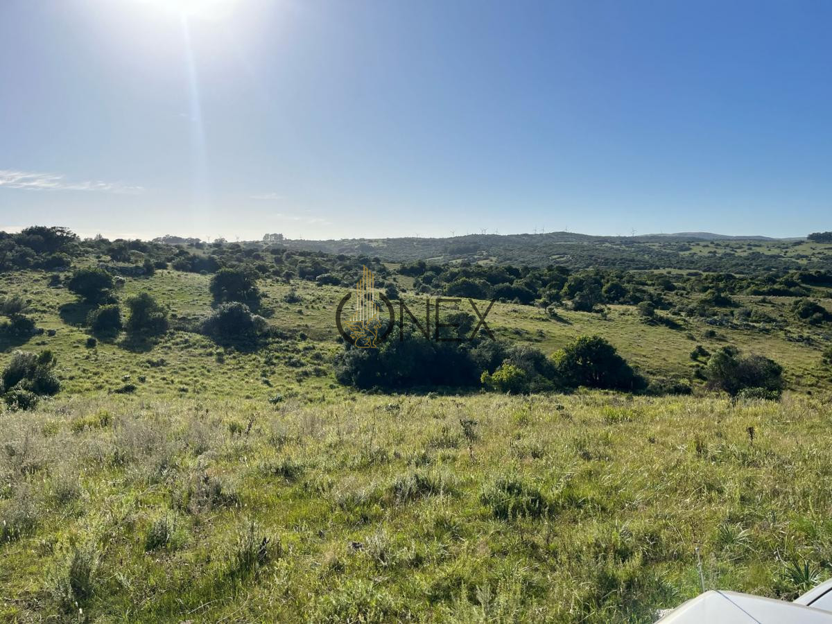 Chacra ID.925 - Venta de hermosas  chacras en Maldonado a de 5 HECT cada una hermosas vistas !!!