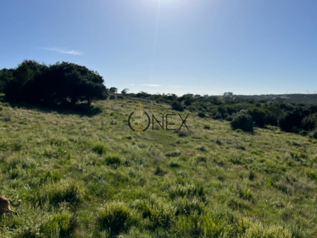 Chacra ID.925 - Venta de hermosas  chacras en Maldonado a de 5 HECT cada una hermosas vistas !!!
