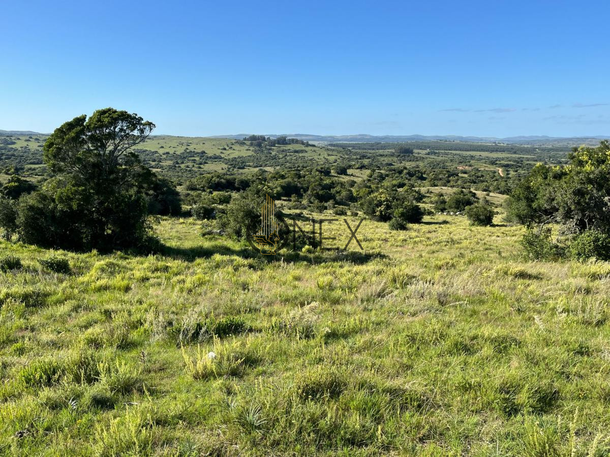 Chacra ID.925 - Venta de hermosas  chacras en Maldonado a de 5 HECT cada una hermosas vistas !!!