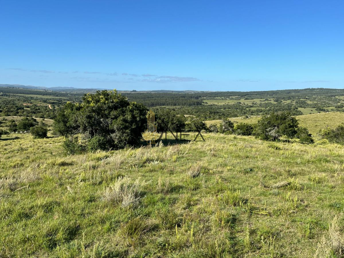Chacra ID.925 - Venta de hermosas  chacras en Maldonado a de 5 HECT cada una hermosas vistas !!!