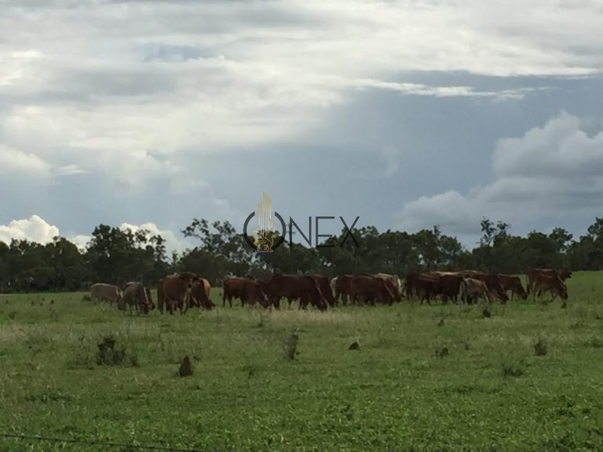 Chacra ID.434 - SE VENDE CAMPO GANADERO TURISTICO EN TREINTA Y TRES (URUGUAY)