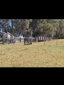 Venta de Chacra de 8 Ha con casa 