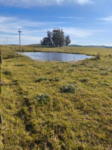 Hermosa Chacra de 5 Ha en Zanja de Chavez a 15 km de San Carlos