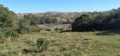 Venta de Chacra de 10 Ha en Aigua