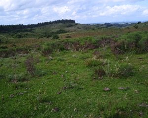 Chacra Garzón de Rocha, Cerro Áspero