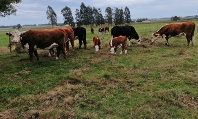 Oportunidad venta de Chacra con casa tajamar árboles  galpón en Canelones