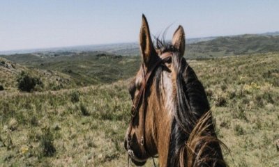 SE VENDE CAMPO GANADERO TURISTICO EN TREINTA Y TRES (URUGUAY)