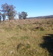 Venta de Chacra en Maldonado de 5 Ha