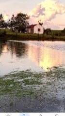 Venta de Chacra 5Ha en Abra Perdomo