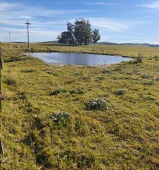 Hermosa Chacra de 5 Ha en Zanja de Chavez a 15 km de San Carlos