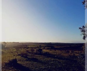 Oportunidad Venta de chacra de 7.8 Hectáreas en Las Cañas Maldonado
