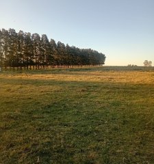 Venta de Chacra de 7 Ha en Zanja de Chavez, Maldonado
