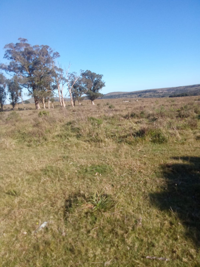 Venta de Chacra en Maldonado de 5 Ha