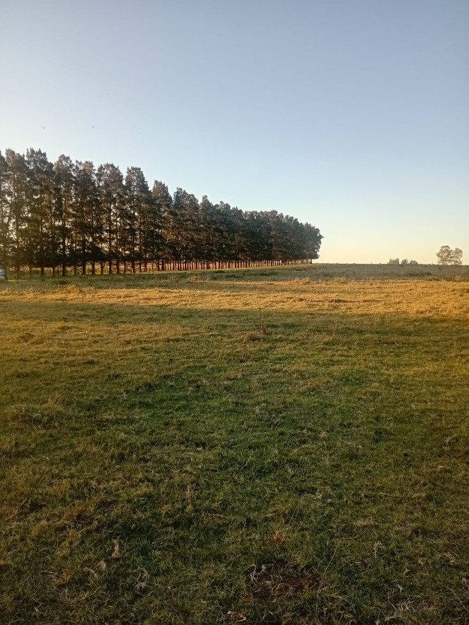 Venta de Chacra de 7 Ha en Zanja de Chavez, Maldonado