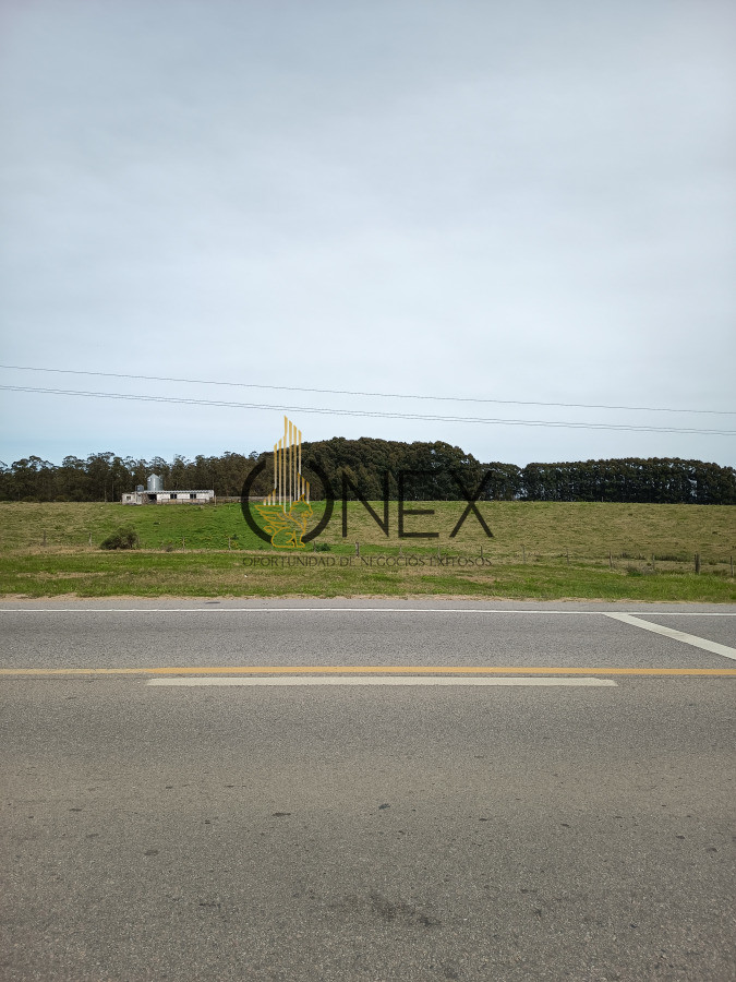 Campo Ref.3249 - Único ideal inversores 