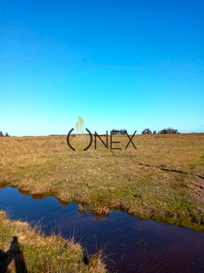 Campo Ref.3234 - Campo el caracol Rocha