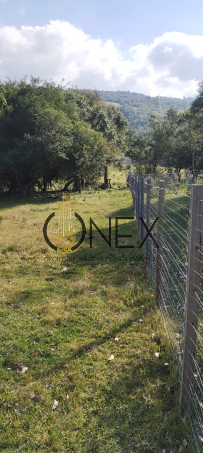 Campo Ref.3606 - Espectacular chacra 