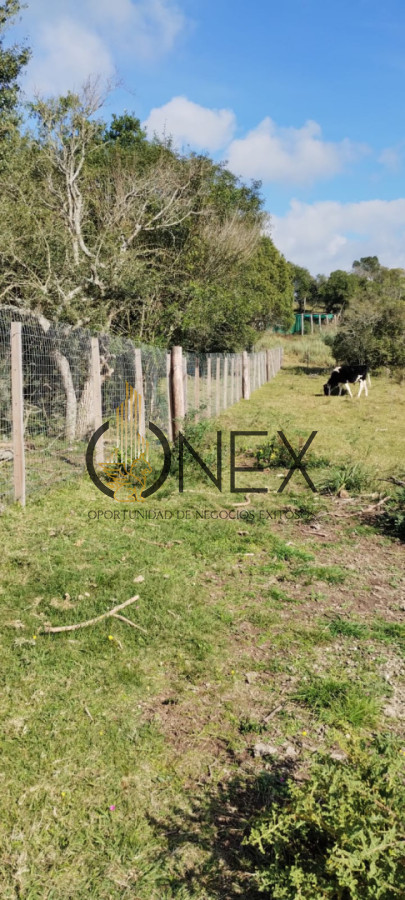 Campo Ref.3606 - Espectacular chacra 