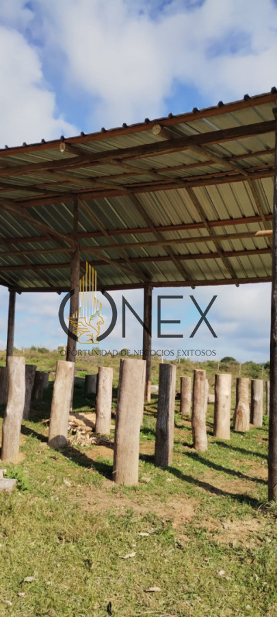 Campo Ref.3606 - Espectacular chacra 