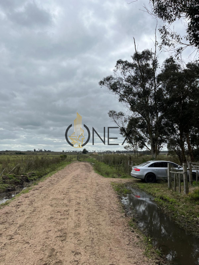 Campo Ref.2937 - VENTA DE CAMPO EN SAUCE, CANELONES 