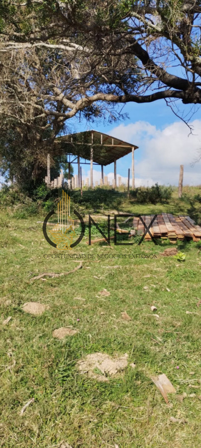 Campo Ref.3606 - Espectacular chacra 