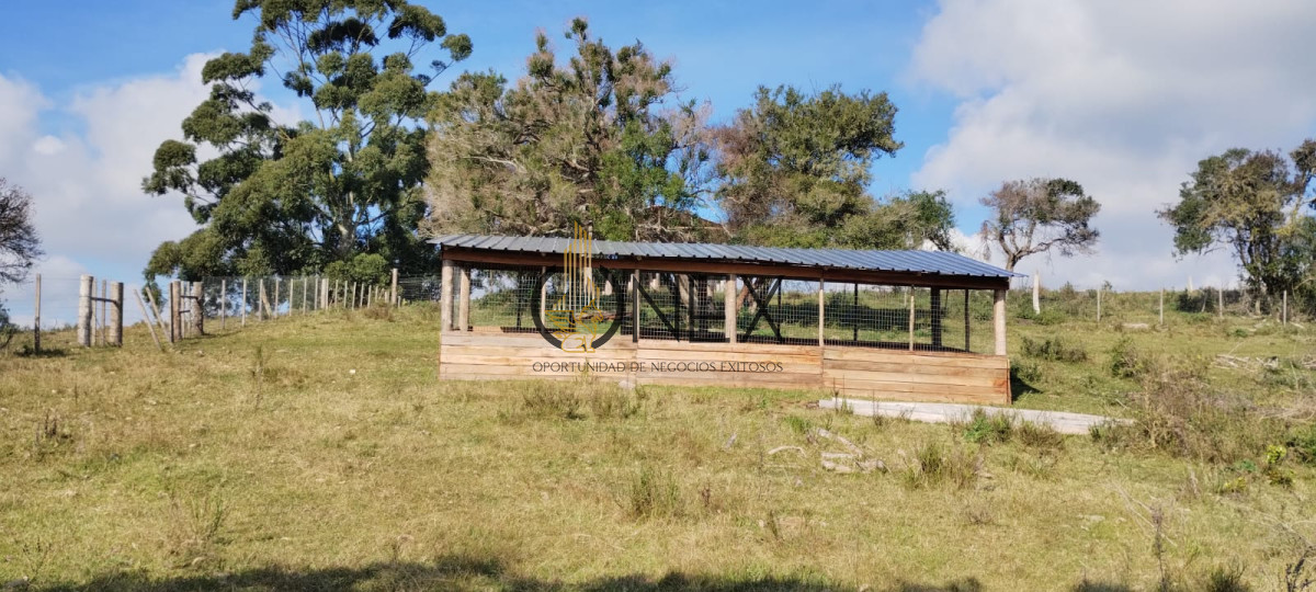 Campo Ref.3606 - Espectacular chacra 