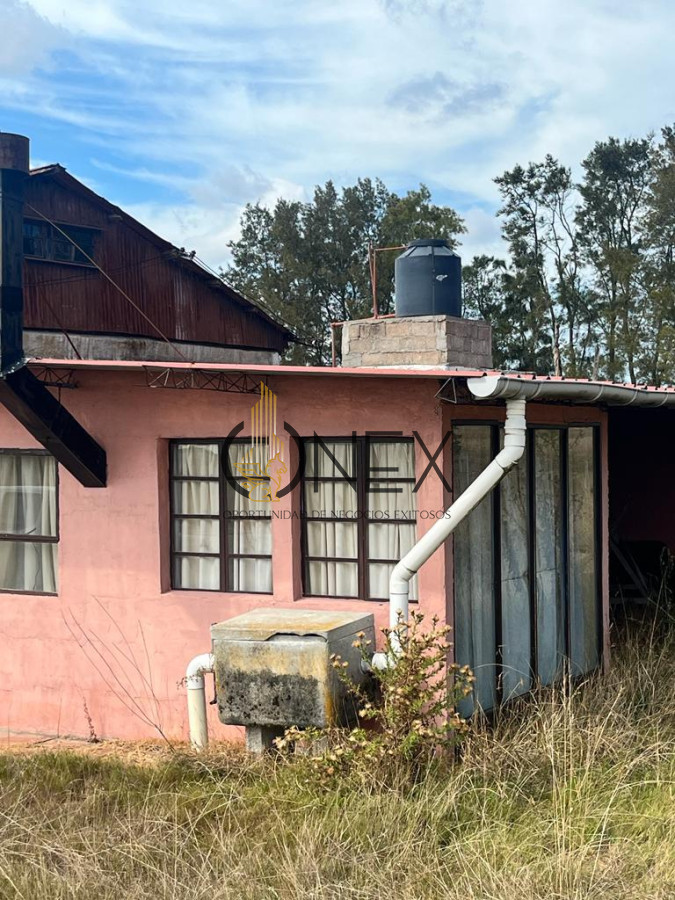 Campo Ref.2937 - VENTA DE CAMPO EN SAUCE, CANELONES 