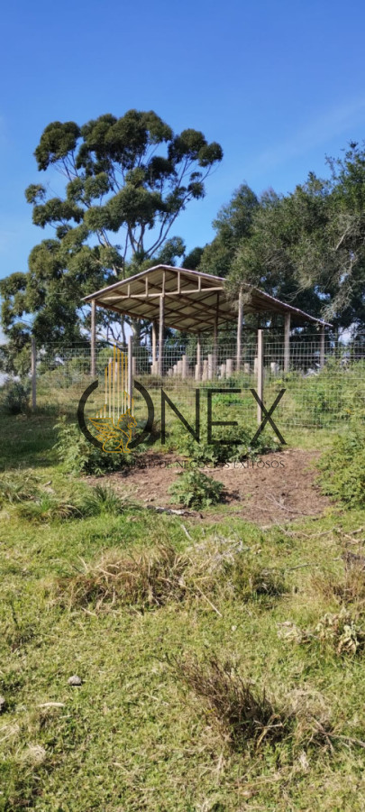 Campo Ref.3606 - Espectacular chacra 