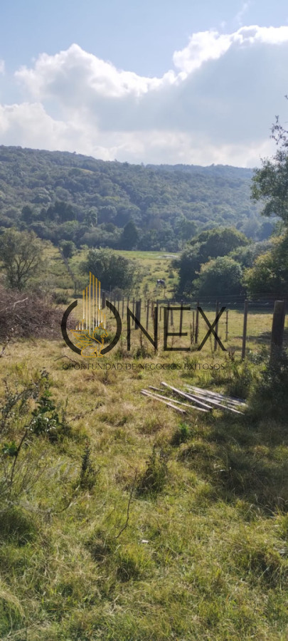 Campo Ref.3606 - Espectacular chacra 